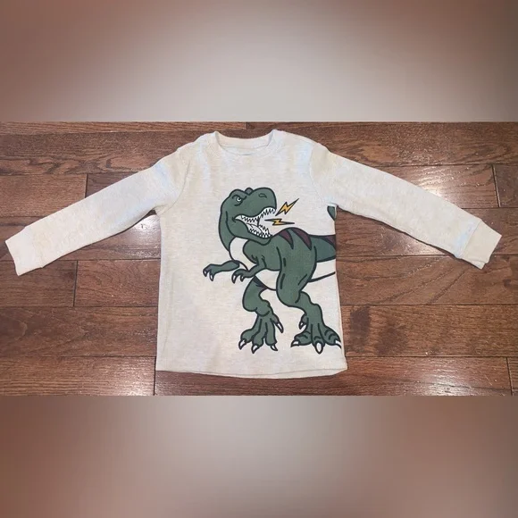 Boys 5T Cozy Bundle – Fleece Jacket, Dino Tops, Cars Tee & Mickey Slippers 9/10 - Picture 7 of 13